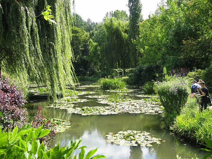 30 Giverny waterlillies.jpg